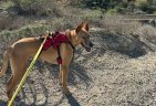 IMG-20250108-WA0097-min