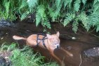 Update 5aug24 - Pacco (1)