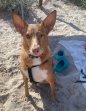 Update 5aug24 - Pacco (2)