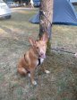 Update 5aug24 - Pacco (4)