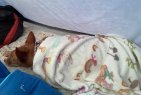 Update 5aug24 - Pacco (5)