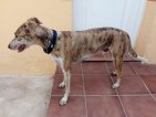 Update7juli20-Charly (7)