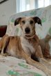Update 1sept24 - Charly (3)