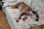 Update 1sept24 - Charly (6)