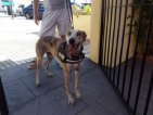 xUpdate7juli20-Charly (1a)