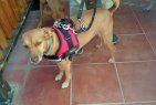 Update 10nov22 - Benito (1)