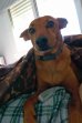 Update 10nov22 - Benito (3)