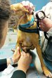 Update 10nov22 - Benito (5)