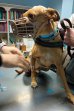Update 10nov22 - Benito (6)