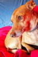 Update 10nov22 - Benito (7)