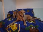update Benito 4 september (2)