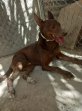 Update 17aug23 - Leon (1)