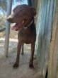 Update 17aug23 - Leon (2)