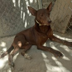Update 17aug23 - Leon (3)