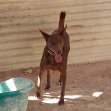 Update 28okt24 - Leon (2)