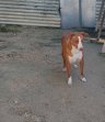 22jan26 Billy1