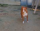 22jan26 Billy4