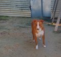 22jan26 Billy5