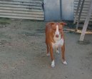 22jan26 Billy6