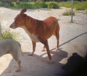 8mei26 Billy4.2