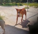 8mei26 Billy7