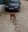 Billy (11) op straat