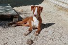 Billy (2)