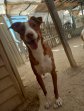 update 30aug23 Billy (3)
