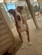 update 30aug23 Billy (4)