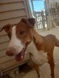 update 30aug23 Billy (5)
