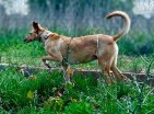 IMG-20250730-WA0001