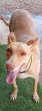 IMG-20250730-WA0002