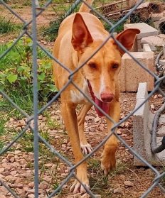 update 30 oktober 25 Fina 1a