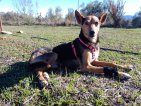 Update 31aug22 - Lukas (1)
