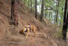 Update Wanda3 260226