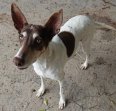 1jul26 Adela4