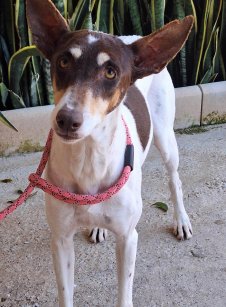 Update 10dec24 - Adela (8)