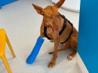 Update Helios 29 juni 2026 (1)