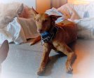 Update 12aug24 - Alba (1)