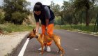 Carlota (13)
