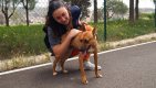 Carlota (14)