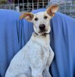 Update 29nov24 - Jules (1)