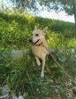 Lucrecia (6)