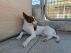 IMG20250223125122 (Groot)