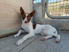 IMG20250223125127 (Groot)