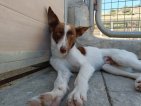 IMG20250223125252 (Groot)