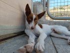 IMG20250223125254 (Groot)