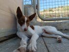IMG20250223125256 (Groot)