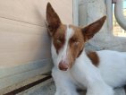 IMG20250223125309 (Groot)