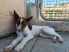 IMG20250223125330 (Groot)